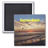 Daytona Beach Magnet