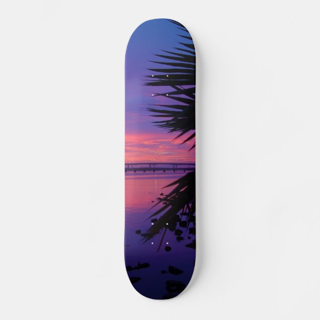 Daytona Fluss-tropisches Skateboard (Vorderseite)