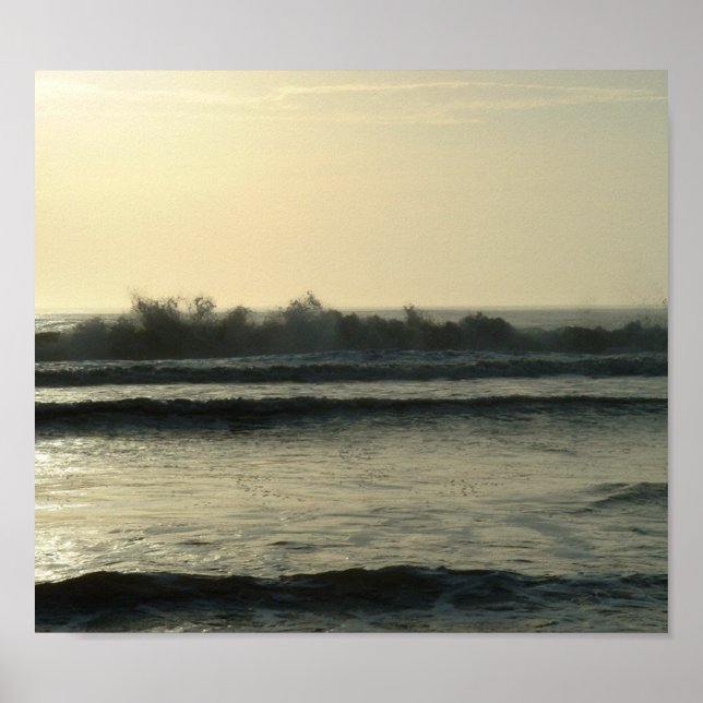 Daytona Waves Poster (Vorne)