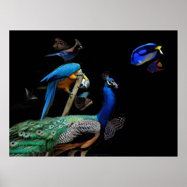 Dazzende Kreaturen Poster (Vorne)