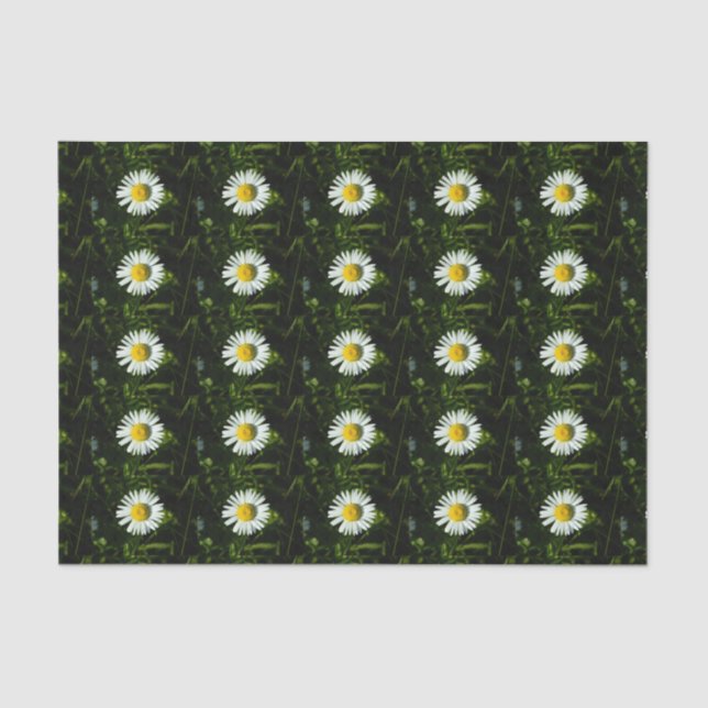 Dazzing Daisy Tissue Paper Seidenpapier (Vorderseite)