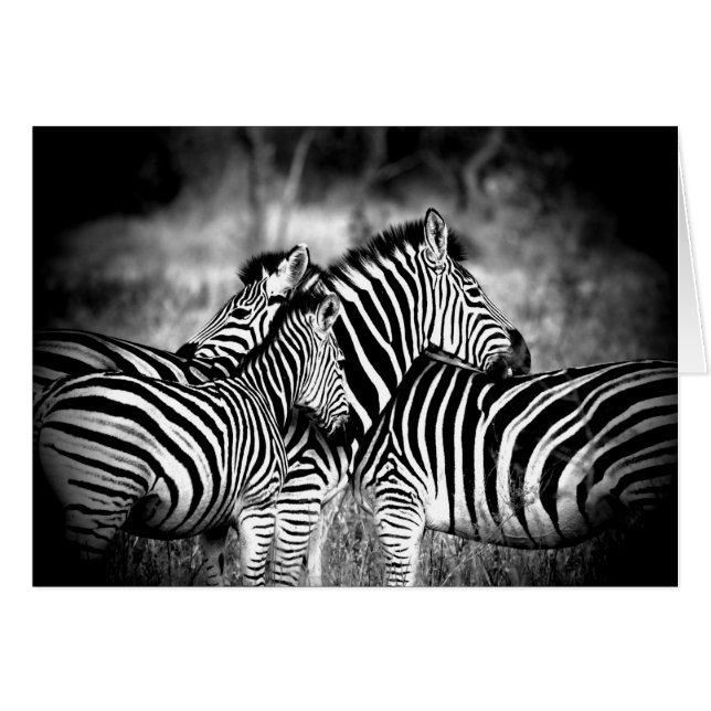 Dazzle von Zebra Denken Sie an Ihre eigene Innen (Vorderseite (Horizontal))