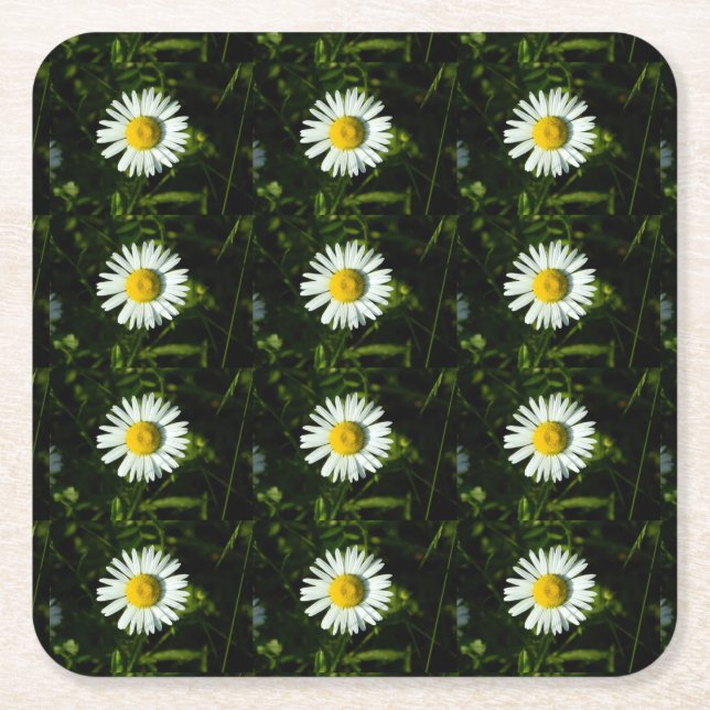 Dazzling Daisy Paper Untersetzer (Vorderseite)