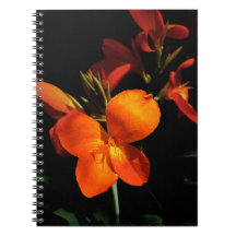 Dazzling Orchid-Notebook