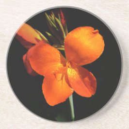 Dazzling Orchid Sandstone Untersetzer