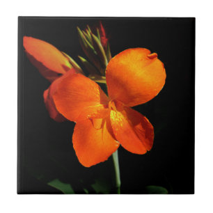 Dazzling Orchid Tile Fliese