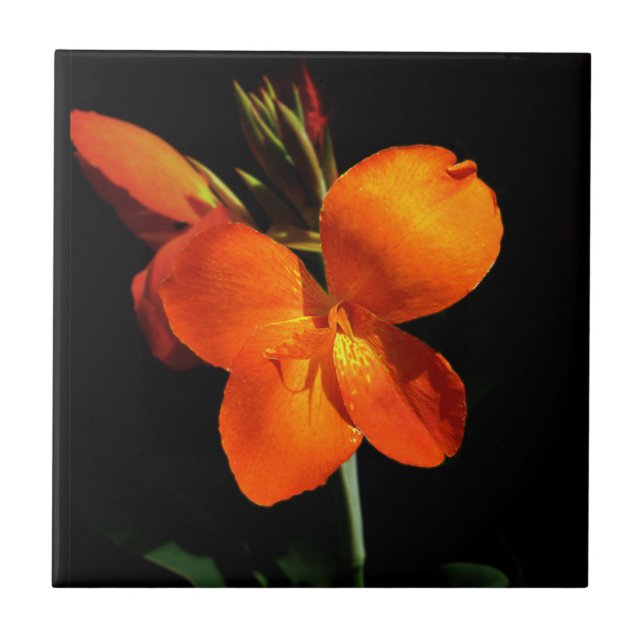 Dazzling Orchid Tile Fliese (Vorderseite)