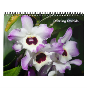 Dazzling Orchids Kalender