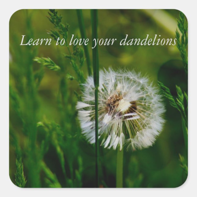 DBT-Aufkleber Quadratischer Aufkleber (Vorderseite)