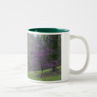 DC-Baum-Tasse Zweifarbige Tasse