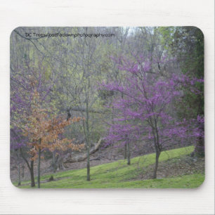 DC-Bäume Mousepad