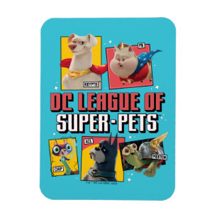 DC Liga der Super-Pets Charakterpanels Magnet