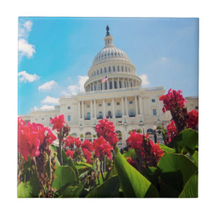 DC USA-, Washington, Hauptstadts-Gebäude Fliese