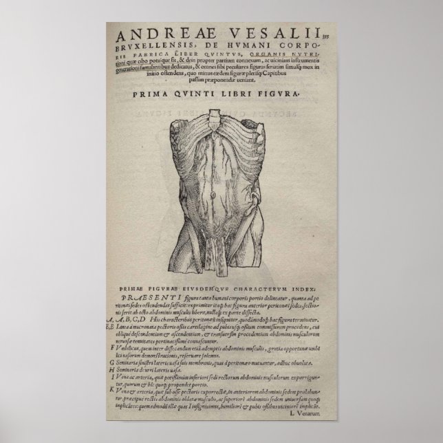 De Humani Corporis Poster (Vorne)