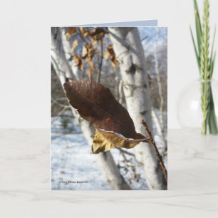 Dead Leaves in Birch Karte