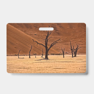 Dead Vlei, Namibia Ausweis