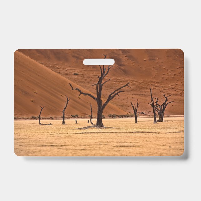 Dead Vlei, Namibia Ausweis (Vorderseite)