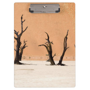 Dead Vlei, Namibia Klemmbrett