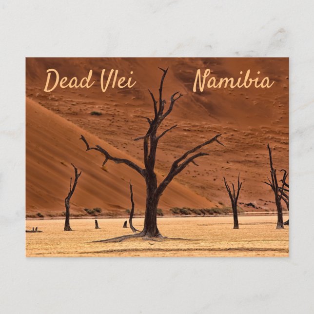 Dead Vlei Namibia Landschaft Foto mit Text Postkarte (Vorderseite)