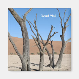 Dead Vlei, Namibia Magnet