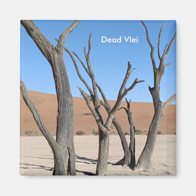 Dead Vlei, Namibia Magnet (Vorne)