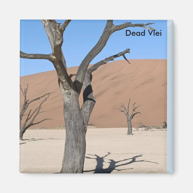 Dead Vlei, Namibia Magnet (Vorne)