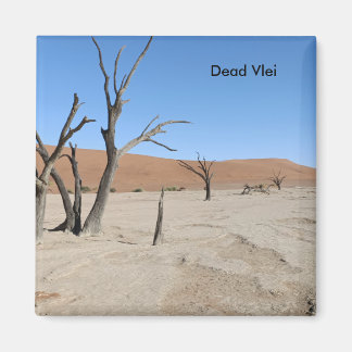 Dead Vlei, Namibia Magnet