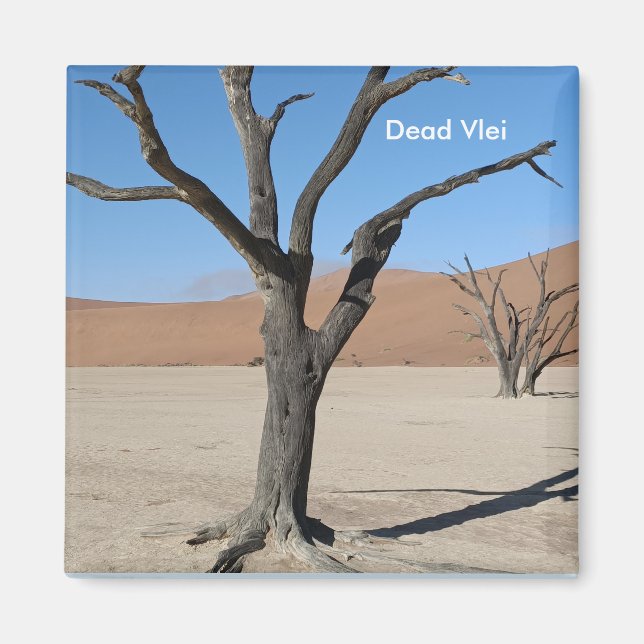 Dead Vlei, Namibia Magnet (Vorne)