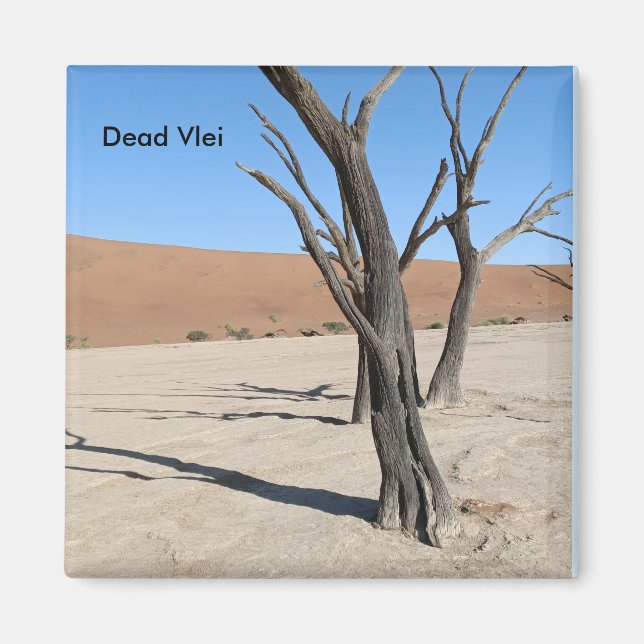 Dead Vlei, Namibia Magnet (Vorne)