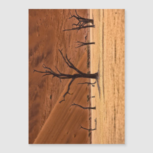 Dead Vlei, Namibia Magnetkarte