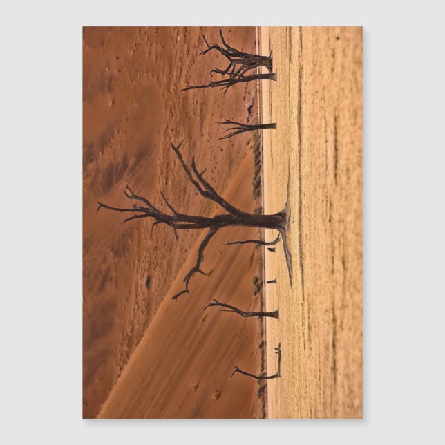Dead Vlei, Namibia Magnetkarte (Vorderseite)