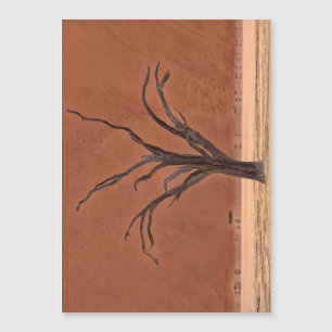 Dead Vlei, Namibia Magnetkarte