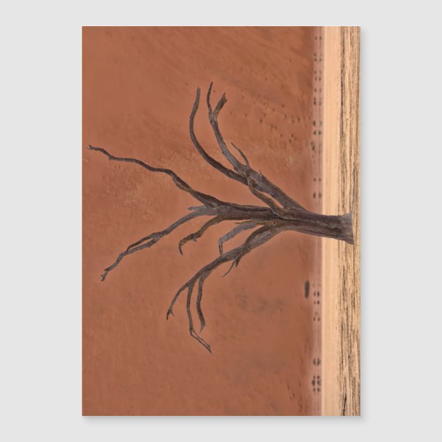 Dead Vlei, Namibia Magnetkarte (Vorderseite)