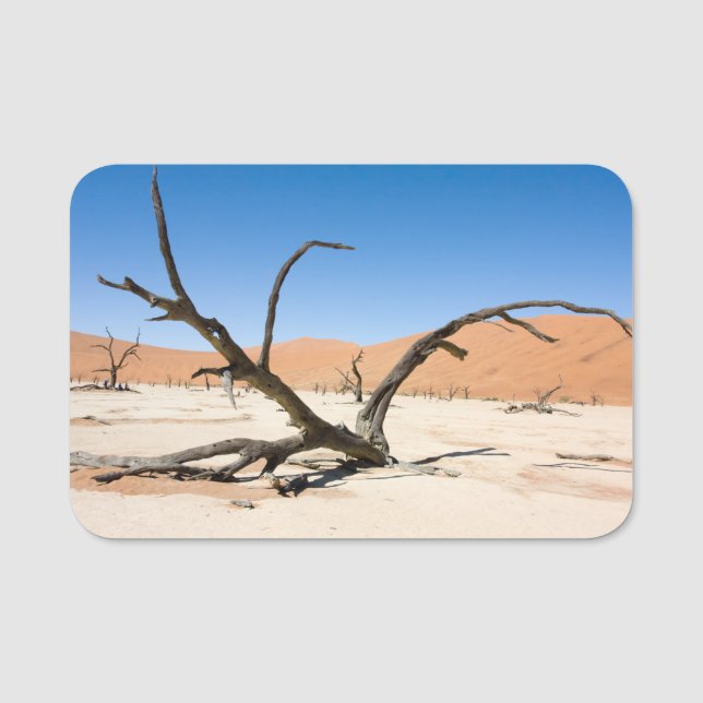 Dead Vlei, Namibia Namensschild (Vorderseite)