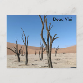 Dead Vlei, Namibia Postcard Postkarte
