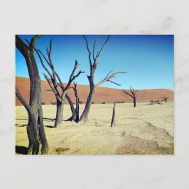 Dead Vlei, Namibia Postcard Postkarte