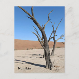 Dead Vlei, Namibia Postcard Postkarte