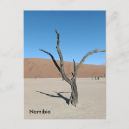 Dead Vlei, Namibia Postcard Postkarte