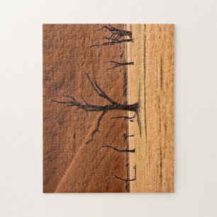 Dead Vlei, Namibia Puzzle