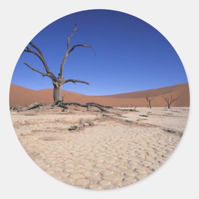 Dead Vlei, Sossusvlei, Namib-Naukluft National Runder Aufkleber (Vorderseite)