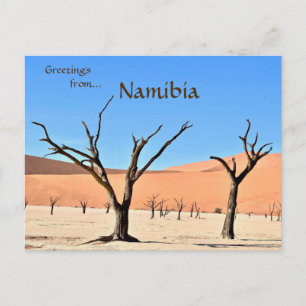 Dead Vlei Sossusvlei Namibia Postkarte