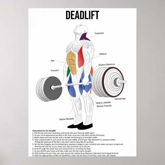 Deadlift - Übung - Diagramm der Muskelanatomie Poster (Vorne)