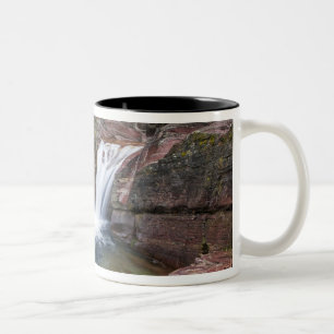 Deadwood Falls am Reynolds Creek im Herbst in Zweifarbige Tasse
