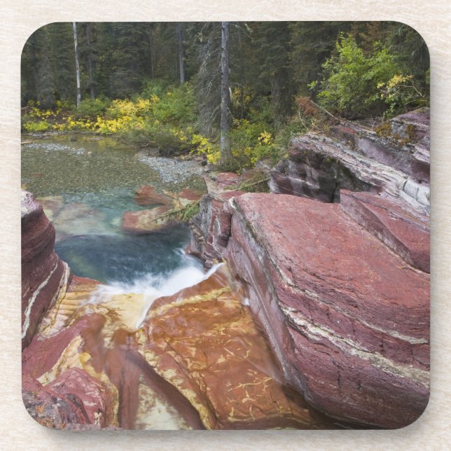 Deadwood Falls auf Reynolds-Creek im Herbst Untersetzer (Vorderseite)