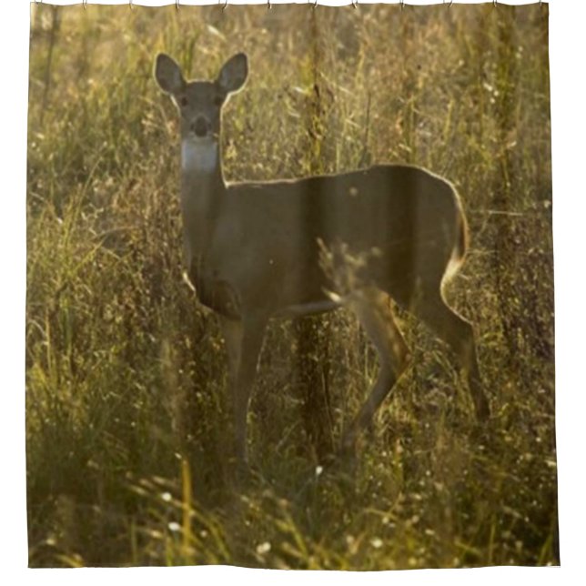 DEAR CAMP 2 DUSCHKURTAN DUSCHVORHANG (Vorderseite)