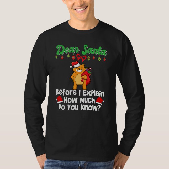 Dear Santa Before I Explain How Much Do You Know_3 T-Shirt (Vorderseite)