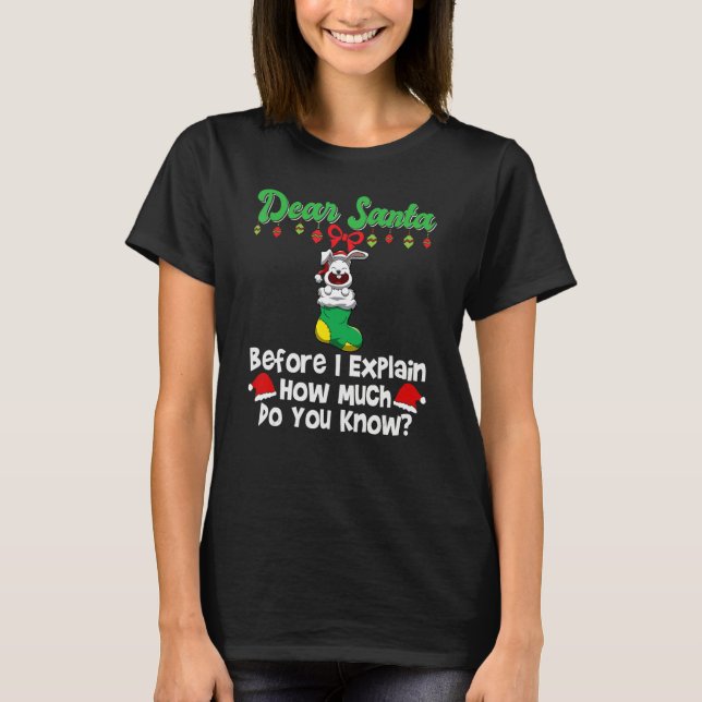 Dear Santa Before I Explain How Much Do You Know_3 T-Shirt (Vorderseite)