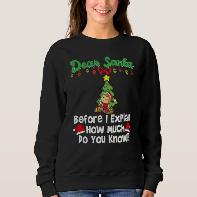 Dear Santa Before I Explain How Much Do You Know_7 Sweatshirt (Vorderseite)