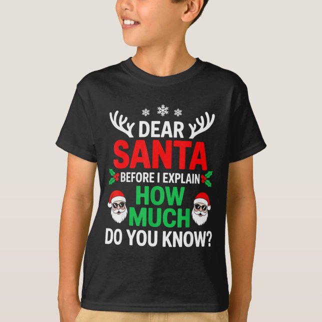Dear Santa Before I Explain How Much Do You Know  T-Shirt (Vorderseite)