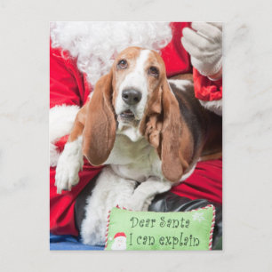 Dear Santa I can Explain Basset Hound Feiertagspostkarte